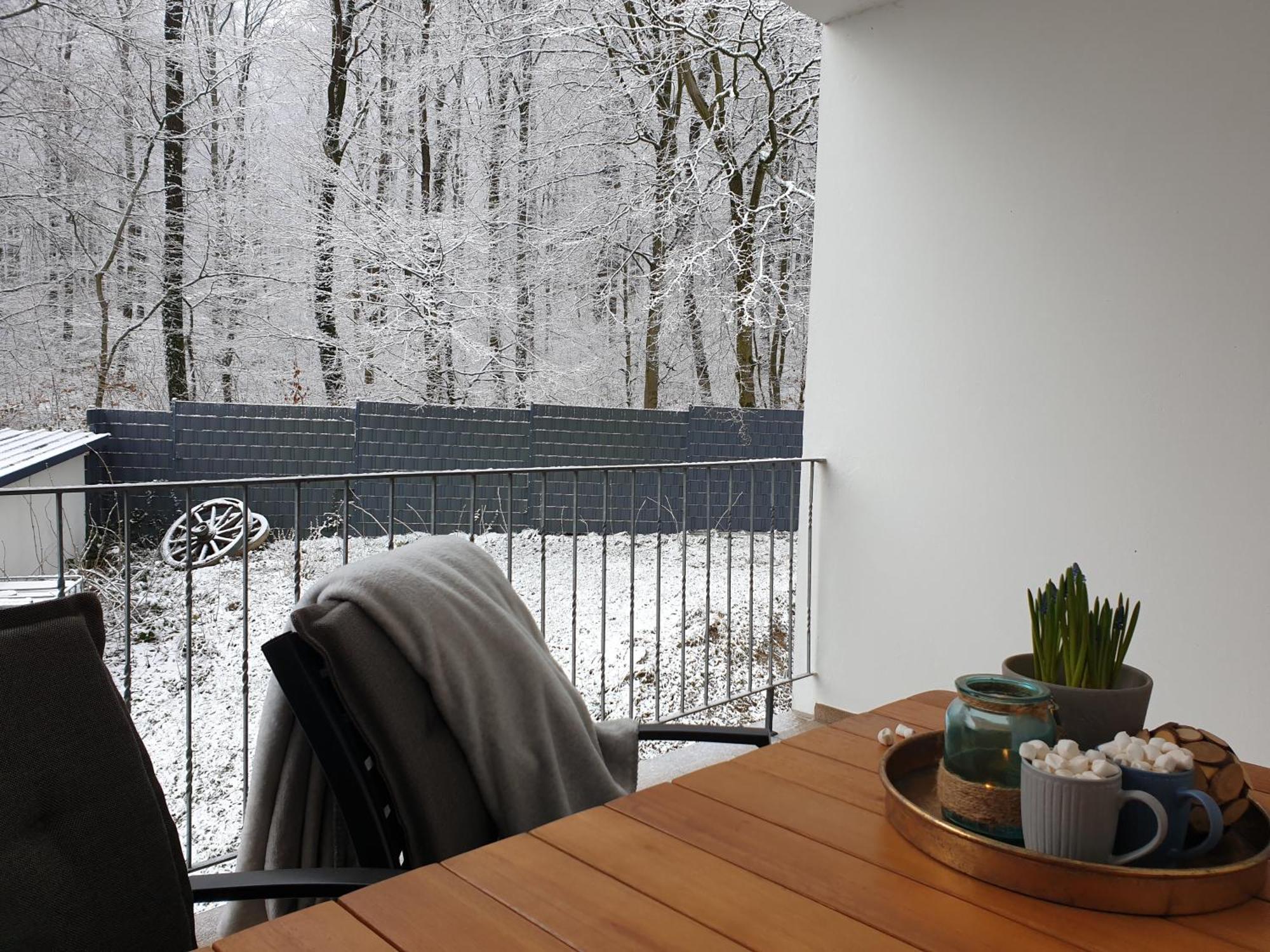 Fewo Winter In Der Villa Waldrand Mit Zwei Balkonen Bad Wunnenberg Exterior photo